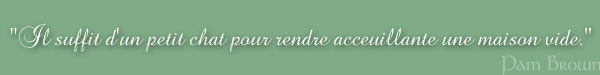 "Il suffit d'un petit chat pour rendre accueillante une maison vide." (Pam Brown)