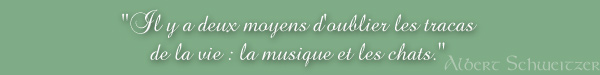 "Il y a deux moyens d'oublier les tracas de la vie : la musique et les chats." (Albert Schweitzer)