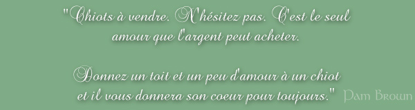 "Chiots &agrave; vendre. N'h&eacute;sitez pas. C'est le seul amour que l'argent peut acheter. Donnez un toit et un peu d'amour &agrave; un chiot et il vous donnera son coeur pour toujours." (Pam Brown)