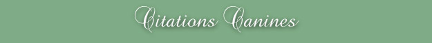 Citations canines