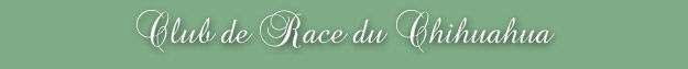 Club de Race du Chihuahua