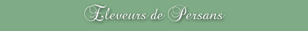 Eleveurs de Persans