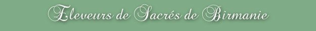 Eleveurs de Sacr&eacute;s de Birmanie