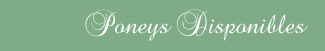 Poneys disponibles