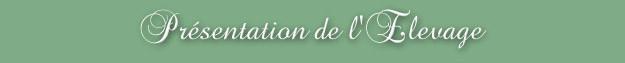 Pr&eacute;sentation de l'elevage du C&egrave;dre Enchant&eacute;
