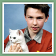 British Shorthair - Chats