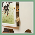 British Shorthair - Chats