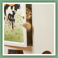 British Shorthair - Chats