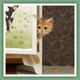 British Shorthair - Chats