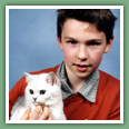 British Shorthair - Chats