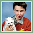 British Shorthair - Chats