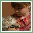 Persan - Chats