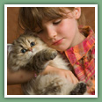 Persan - Chats
