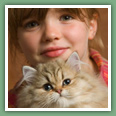 Persan - Chats