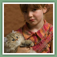 Persan - Chats