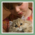 Persan - Chats