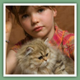 Persan - Chats