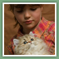 Persan - Chats
