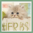 Persan - Chats