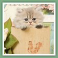 Persan - Chats