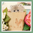 Persan - Chats
