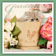 Persan - Chats