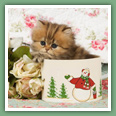 Persan - Chats