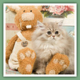 Persan - Chats