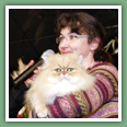 Persan - Chats
