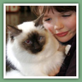 Sacr&eacute; de Birmanie - Chats