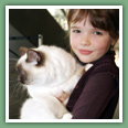 Sacr� de Birmanie - Chats