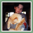 Sacr� de Birmanie - Chats
