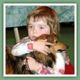 Berger des Shetland - Chiens