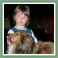 Berger des Shetland - Chiens