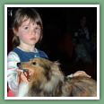 Berger des Shetland - Chiens