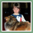 Berger des Shetland - Chiens