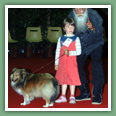 Berger des Shetland - Chiens