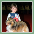 Berger des Shetland - Chiens