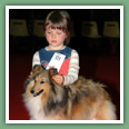 Berger des Shetland - Chiens
