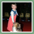 Berger des Shetland - Chiens