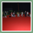 Berger des Shetland - Chiens
