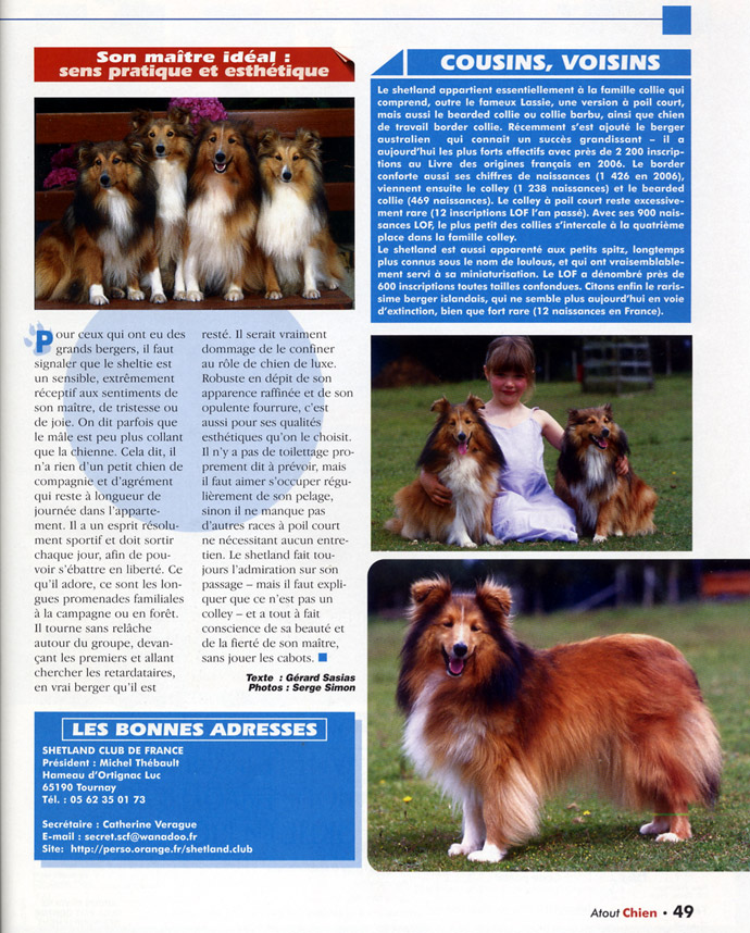 Berger des Shetland - article, page 4