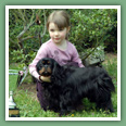 Cavalier King Charles - Chiens