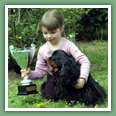 Cavalier King Charles - Chiens
