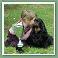 Cavalier King Charles - Chiens