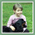 Cavalier King Charles - Chiens
