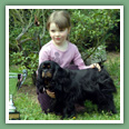 Cavalier King Charles - Chiens