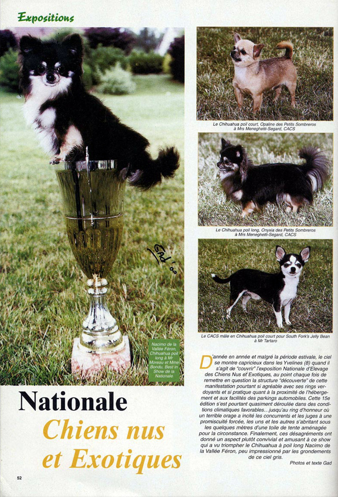 Epagneul du Tibet, tib&eacute;tain, article, page 1