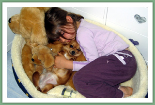 Babette (Chihuahua) et Coline