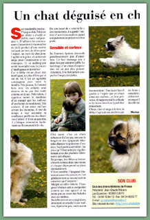 Epagneul tib&eacute;tain - article page 3